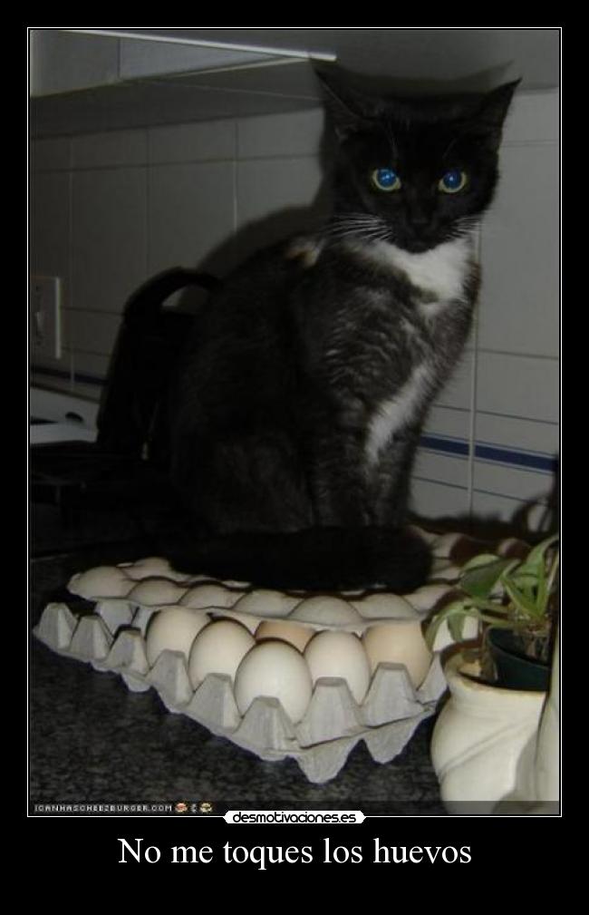 No me toques los huevos -