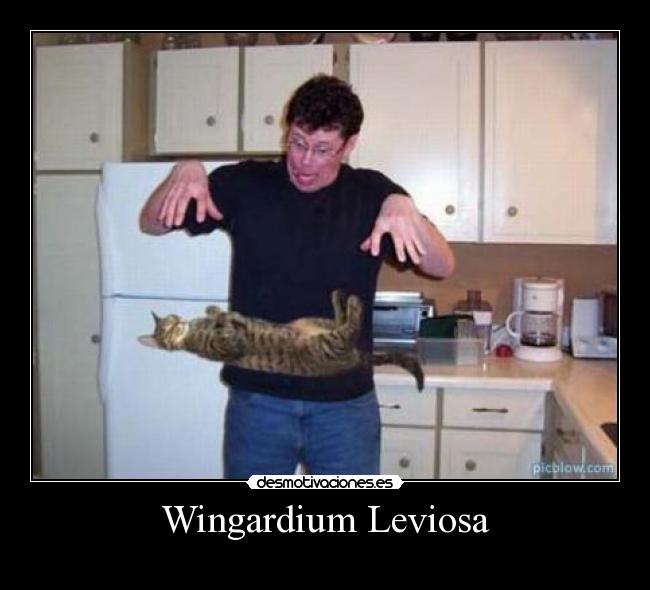 Wingardium Leviosa -