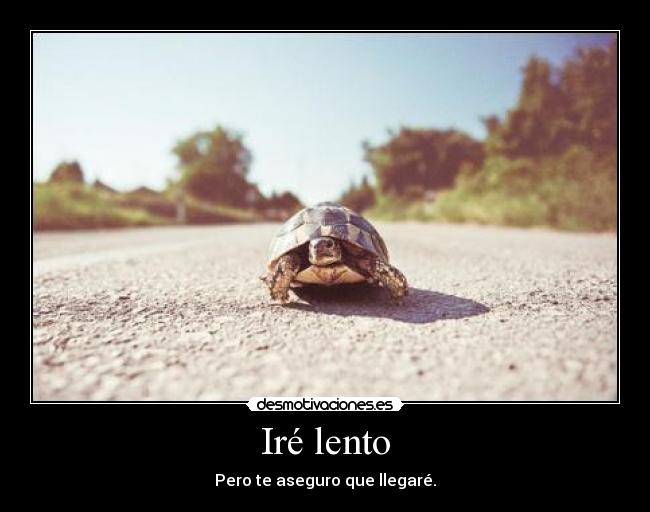 Iré lento -
