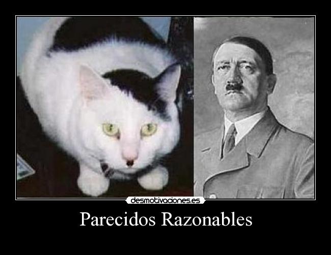 Parecidos Razonables -