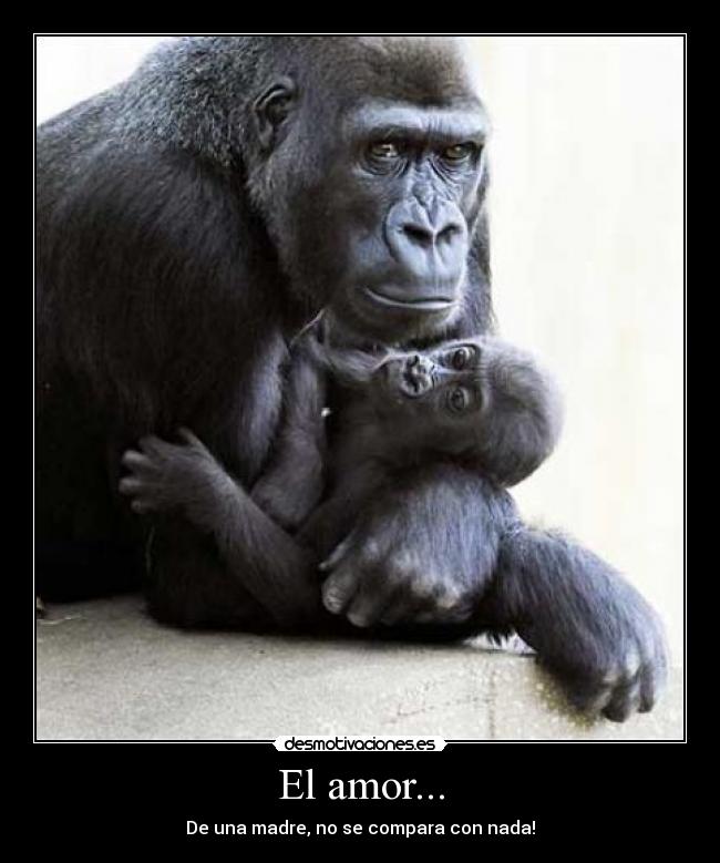 El amor... -