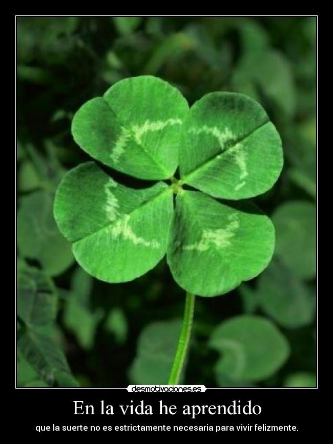 carteles vida vida suerte feliz vivir aprender aprendido desmotivaciones