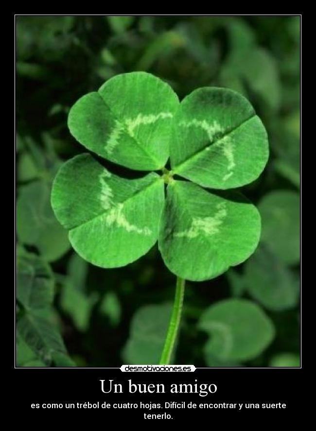 Un buen amigo -