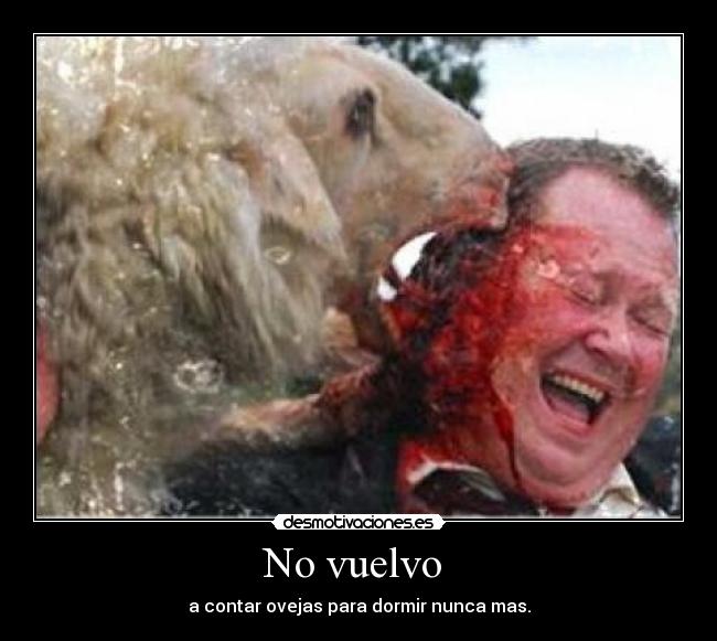 No vuelvo  - a contar ovejas para dormir nunca mas.