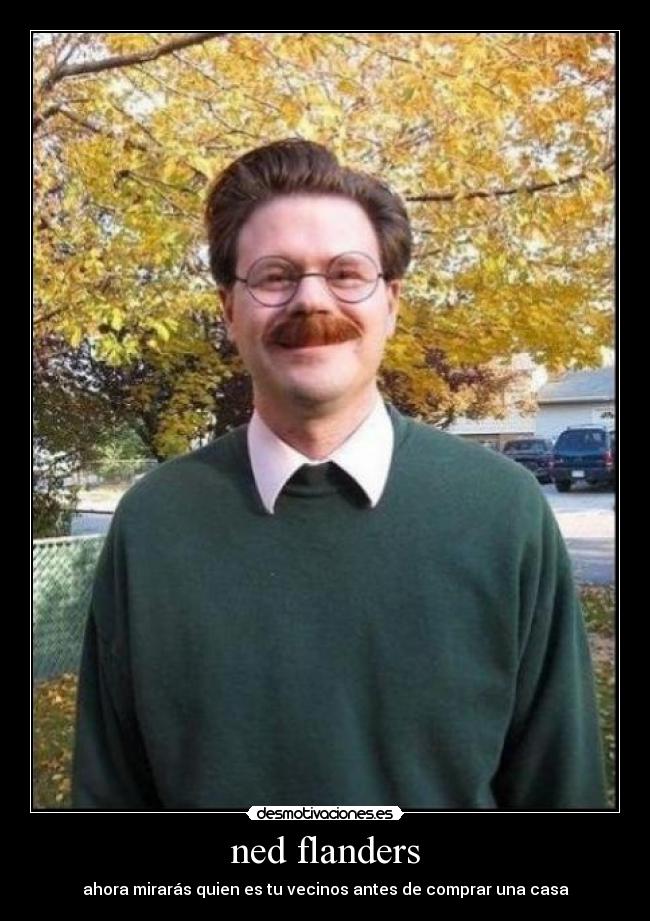 ned flanders - ahora mirarás quien es tu vecinos antes de comprar una casa