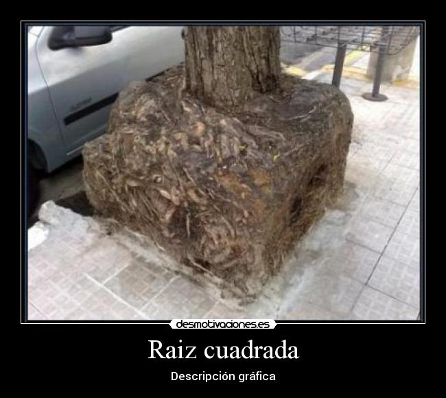 Raiz cuadrada - Descripción gráfica