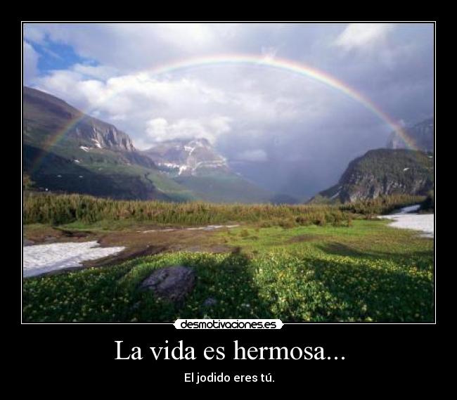 carteles vida arcoiris desmotivaciones