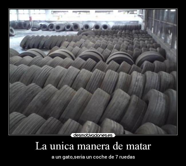 La unica manera de matar - a un gato,seria un coche de 7 ruedas