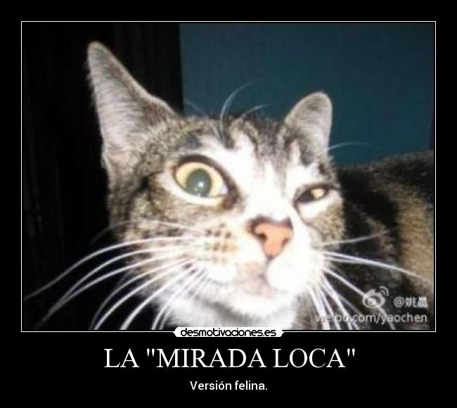 LA MIRADA LOCA -