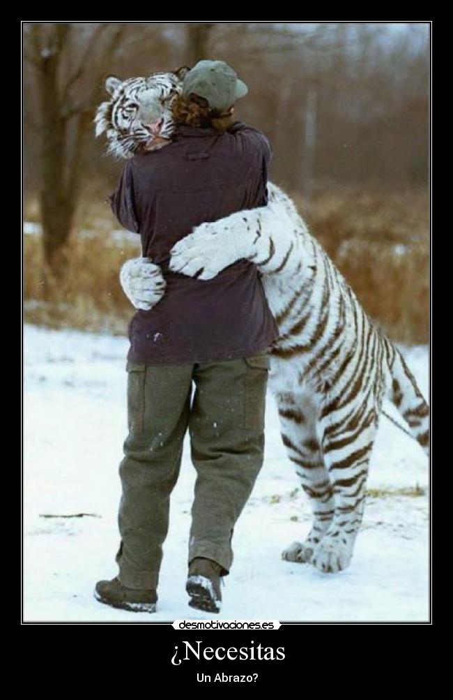 ¿Necesitas - Un Abrazo?