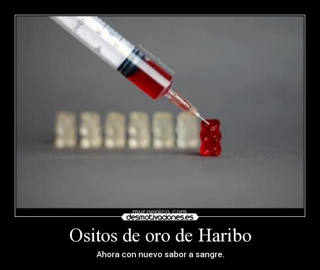 Ositos de oro de Haribo -