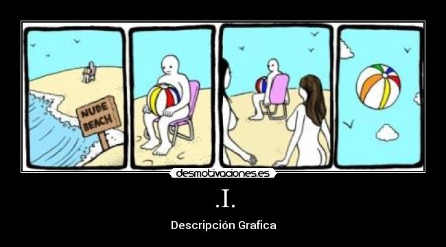 .I. - Descripción Grafica