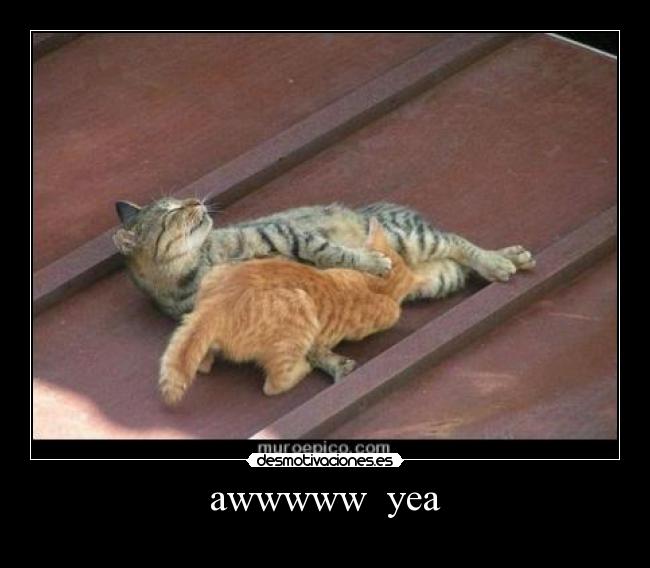 carteles walt_k desmotivaciones