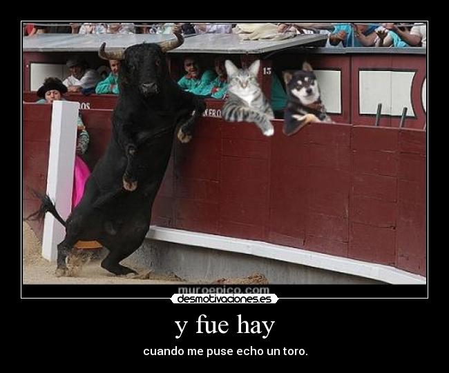 y fue hay -