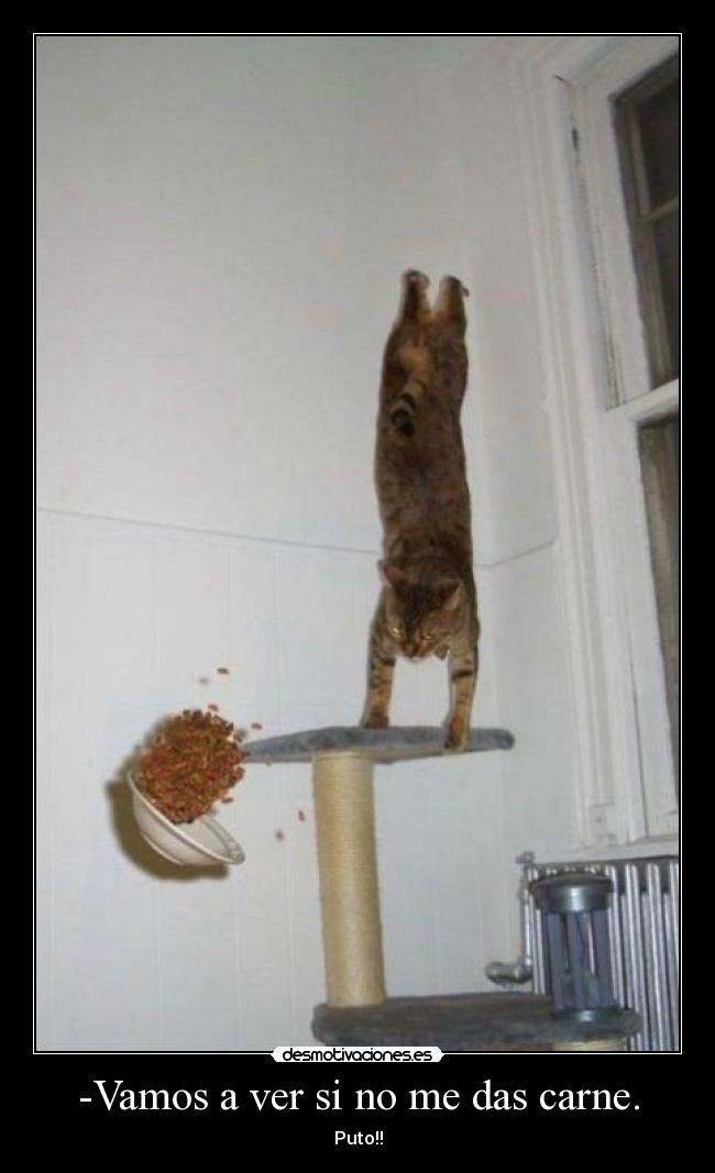 -Vamos a ver si no me das carne. - Puto!!