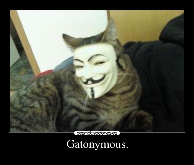 Gatonymous. -