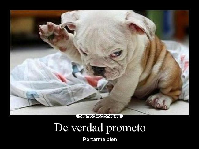 De verdad prometo -
