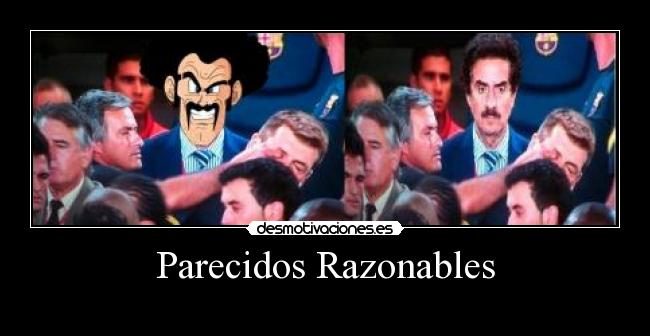 Parecidos Razonables -