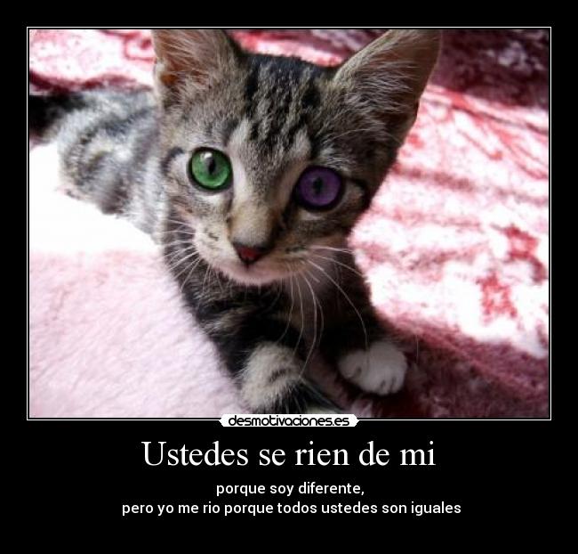 Ustedes se rien de mi - porque soy diferente,
pero yo me rio porque todos ustedes son iguales