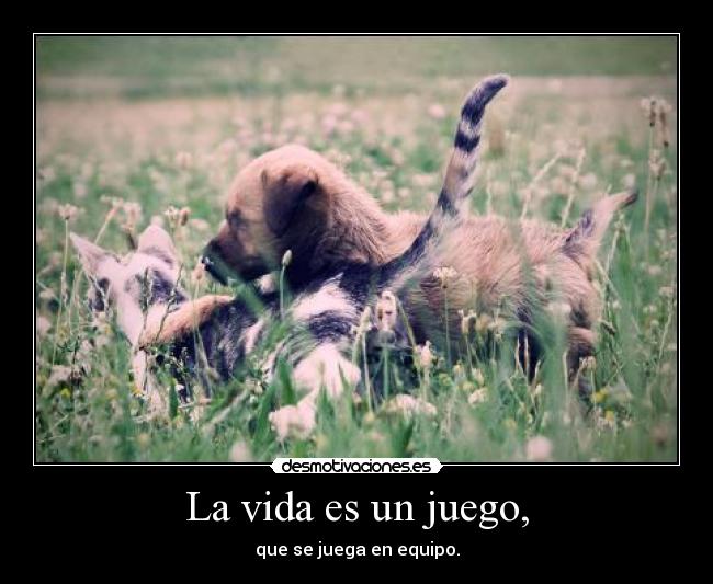 carteles vida esta etiqueta vive vida junto otras etiquetas desmotivaciones