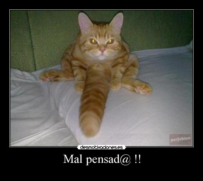 Mal pensad@ !! -