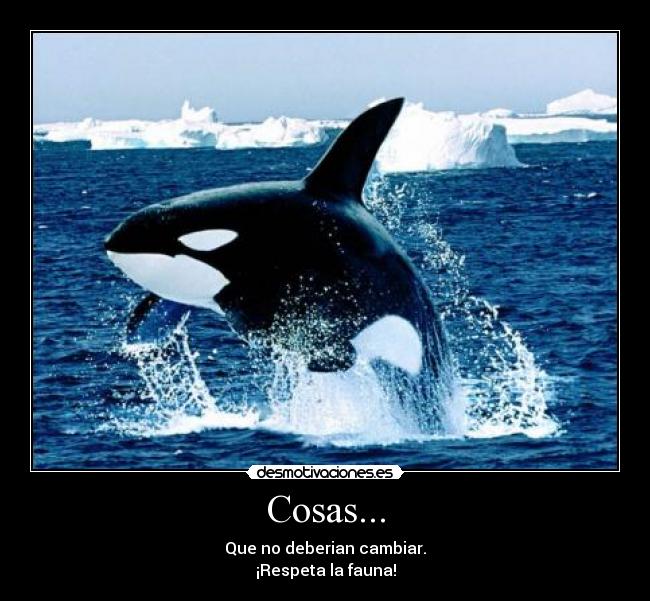 Cosas... - Que no deberian cambiar.
¡Respeta la fauna!