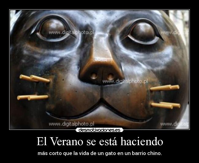 El Verano se está haciendo - más corto que la vida de un gato en un barrio chino.