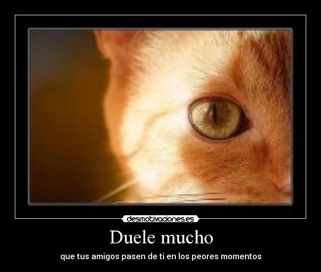 Duele mucho - 