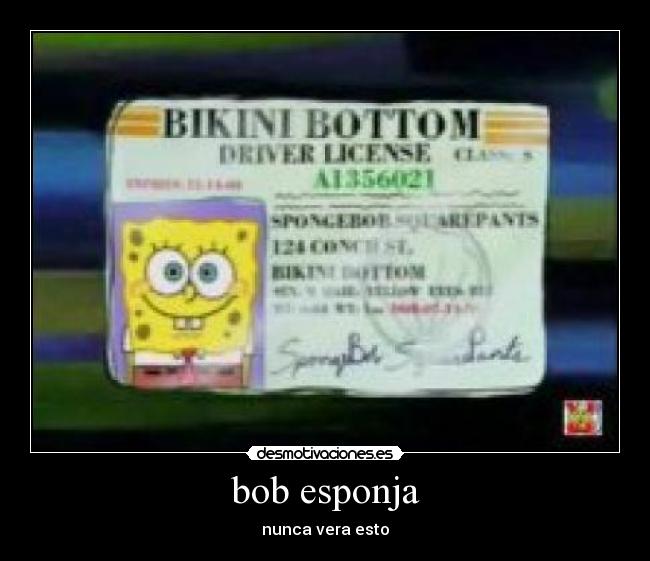 bob esponja -