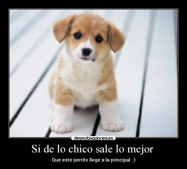 Si de lo chico sale lo mejor -