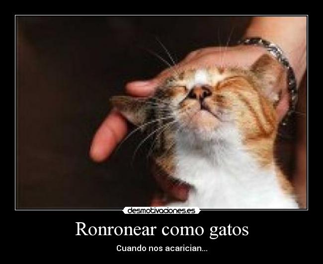 Ronronear como gatos - Cuando nos acarician...