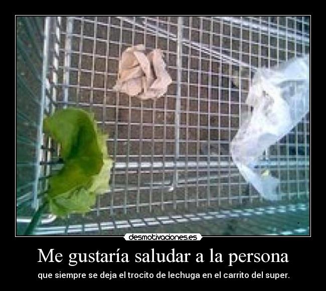 carteles carro lechuga desmotivaciones