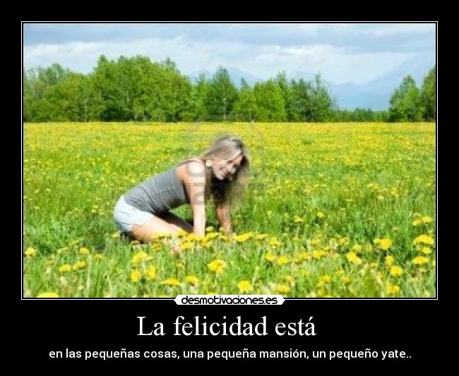La felicidad está  - en las pequeñas cosas, una pequeña mansión, un pequeño yate..
