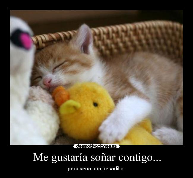 Me gustaría soñar contigo... - pero sería una pesadilla.