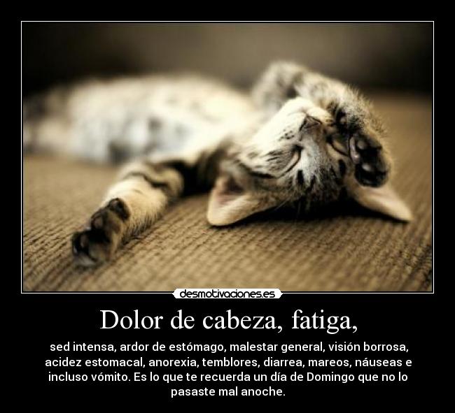 Dolor de cabeza, fatiga, -  sed intensa, ardor de estómago, malestar general, visión borrosa,
acidez estomacal, anorexia, temblores, diarrea, mareos, náuseas e
incluso vómito. Es lo que te recuerda un día de Domingo que no lo
pasaste mal anoche.