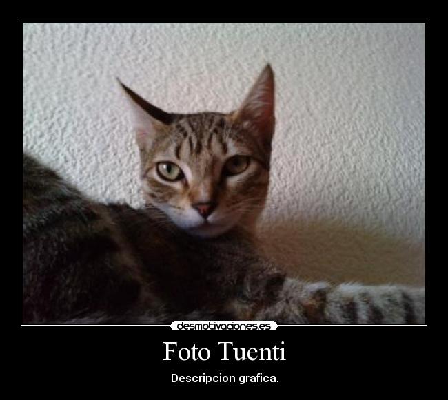 Foto Tuenti -