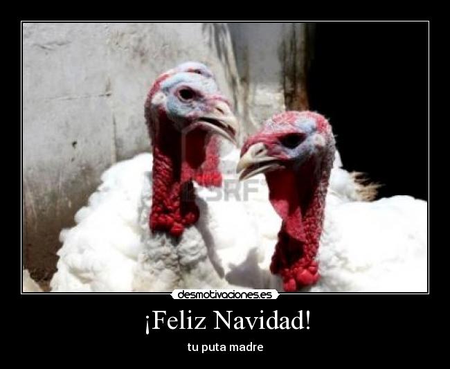 ¡Feliz Navidad! - tu puta madre