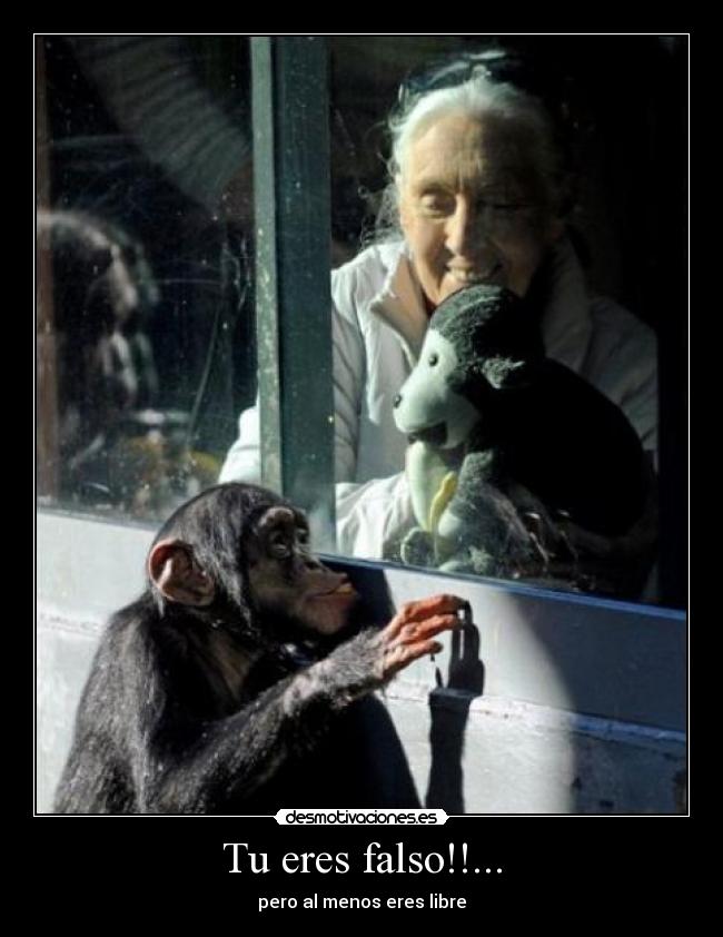 carteles chango desmotivaciones