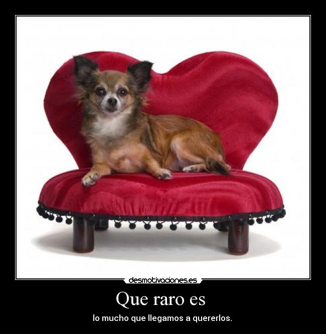 Que raro es - lo mucho que llegamos a quererlos.