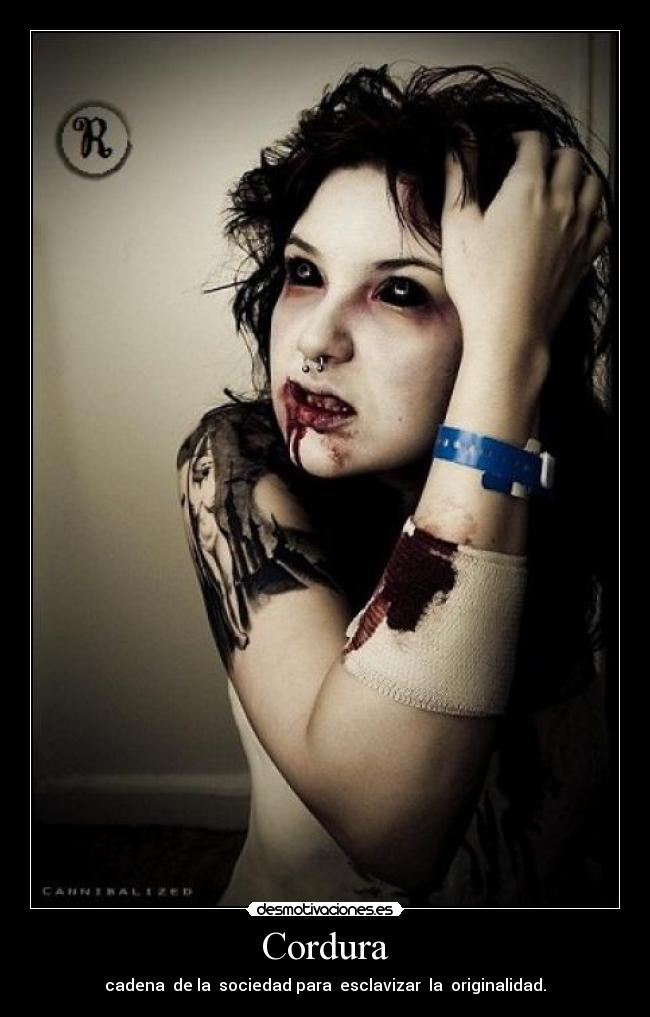 carteles jonose zoofilico desmotivaciones