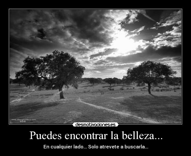 Puedes encontrar la belleza... - En cualquier lado... Solo atrevete a buscarla...