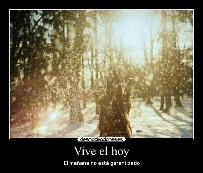 Vive el hoy - 