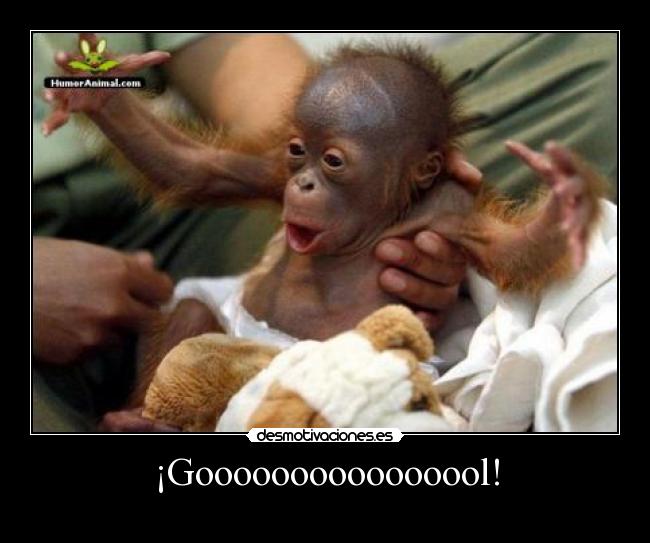 ¡Goooooooooooooool! -