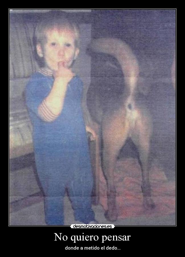 No quiero pensar - 
