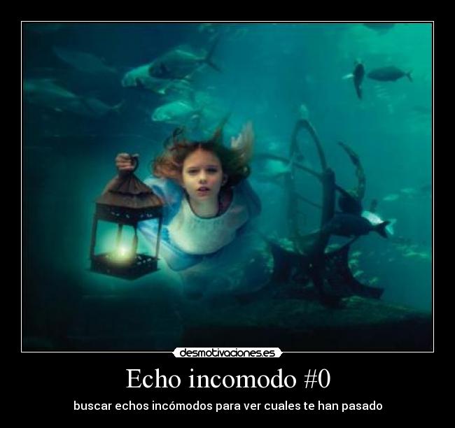 carteles echo incomodo desmotivaciones