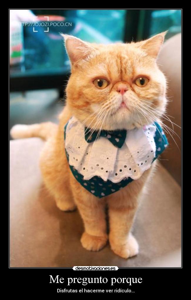 Me pregunto porque - 