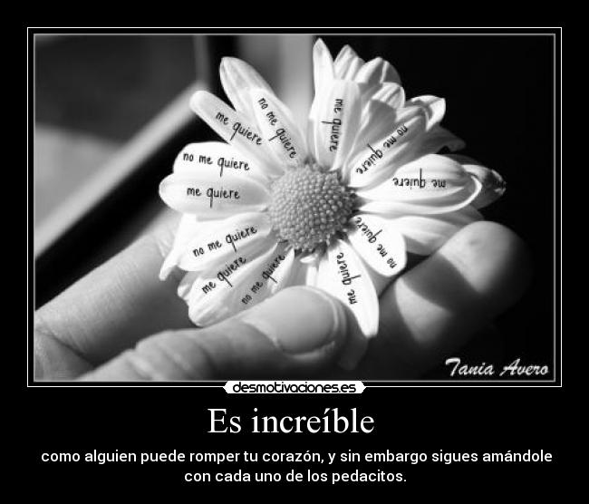 Es increíble  -  como alguien puede romper tu corazón, y sin embargo sigues amándole
con cada uno de los pedacitos.