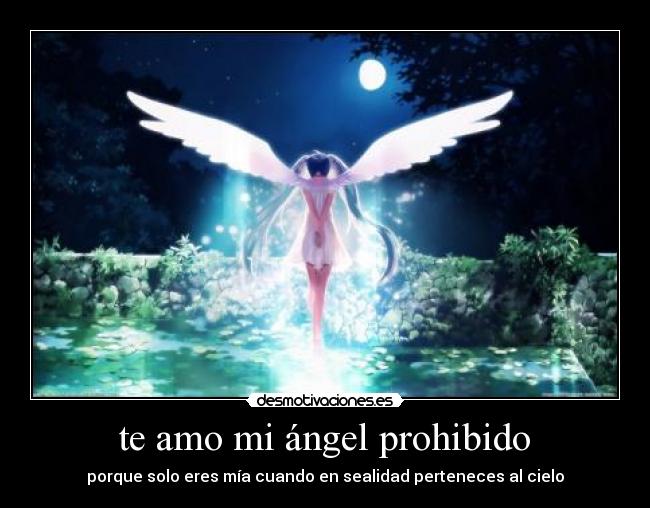  te amo mi ángel prohibido  - 