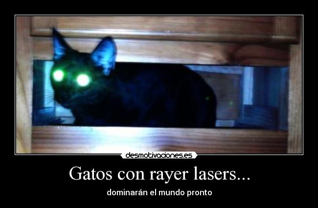 Gatos con rayer lasers... - dominarán el mundo pronto