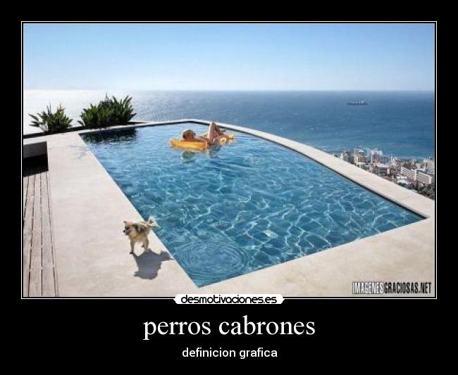 perros cabrones - definicion grafica
